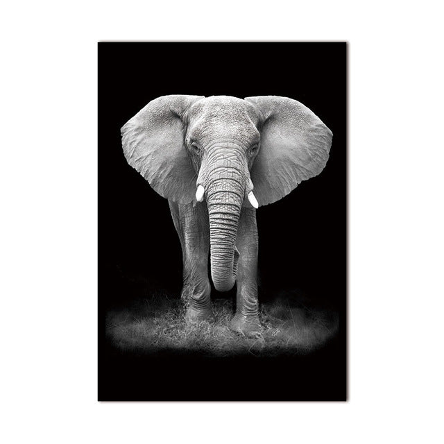 hd-animal-canvas-wall-art-nordic-black-white-pictures-modular-paintings-for-living-room-home-decoration-prints