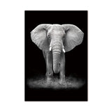 hd-animal-canvas-wall-art-nordic-black-white-pictures-modular-paintings-for-living-room-home-decoration-prints