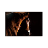 bvm-home-canvas-painting-hd-animal-decorative-horses-pictures-printed-canvas-wall-art-home-decor-modular-paintings-for-living-room