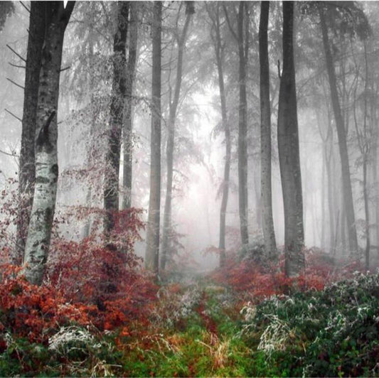 custom-3d-natural-forest-wall-murals-photo-wall-3d-room-landscape-wallpaper-living-room-home-decoration-3d-wallpaper