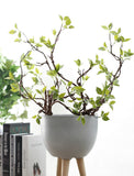 1pc-real-touch-artificial-bending-tree-branches-with-green-leaves-for-flower-arrange-home-diy-decoration-fake-flower-plants