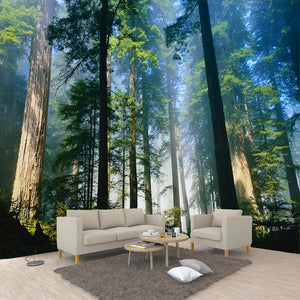 custom-3d-wall-murals-wallpaper-nature-fog-towering-trees-forest-sunshine-photo-wallpaper-living-room-mural-papel-de-parede-3d
