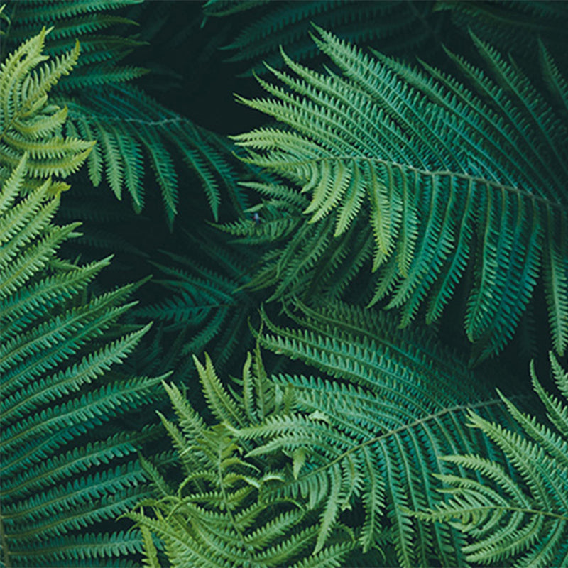Custom Green Leaves Forest Wall Mural (㎡)