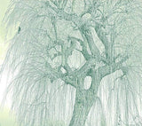 custom-mural-wallpaper-3d-living-room-bedroom-home-decor-wall-painting-papel-de-parede-papier-peint-small-fresh-creative-a-big-tree